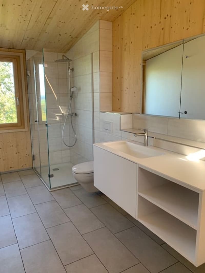 Modern bathroom with white cabinetry, a large mirror, a sink, a toilet, and a glass-enclosed shower with a handheld showerhead.