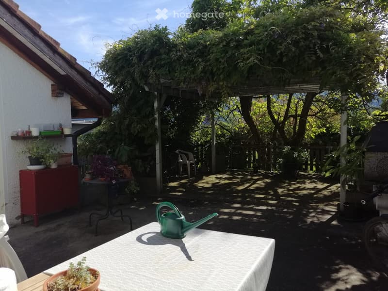A sunny outdoor garden area with a pergola, potted plants, a small table, and a green watering can. The space is surrounded by trees and has a wooden fence in the background.