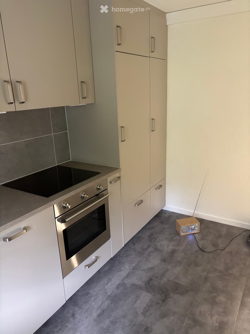 Modern kitchen with light-colored cabinets, stainless steel oven, induction cooktop, and a small speaker on the floor.