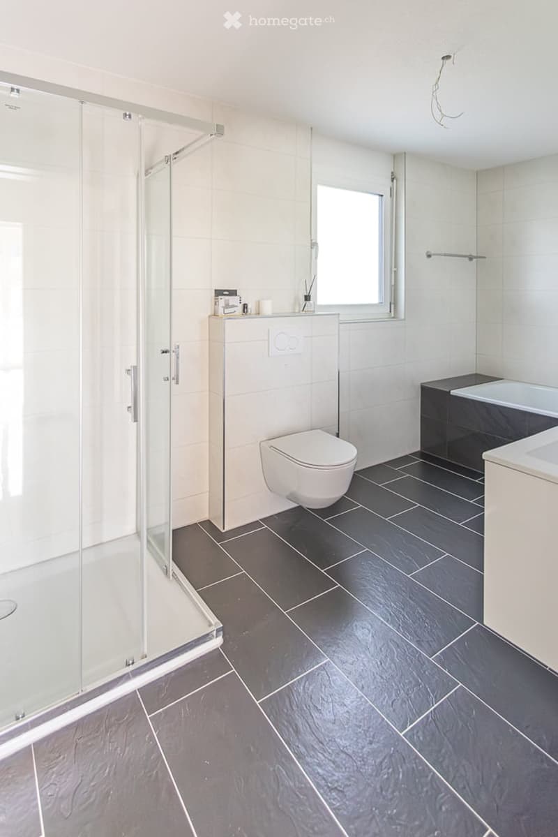 Modern bathroom with dark grey tiled floor, white toilet, bathtub, glass shower enclosure, and white cabinet.