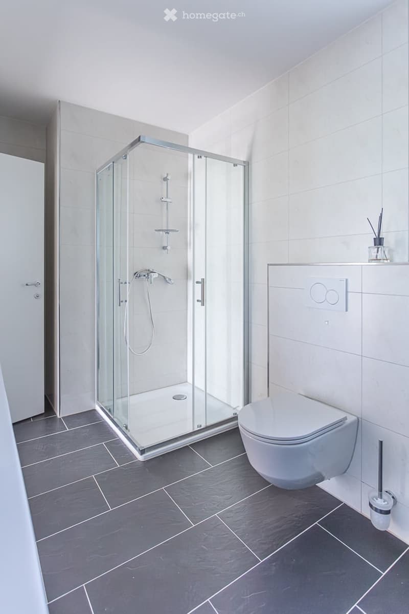 Modern bathroom with a glass-enclosed shower, toilet, and dark grey tiles on the floor.
