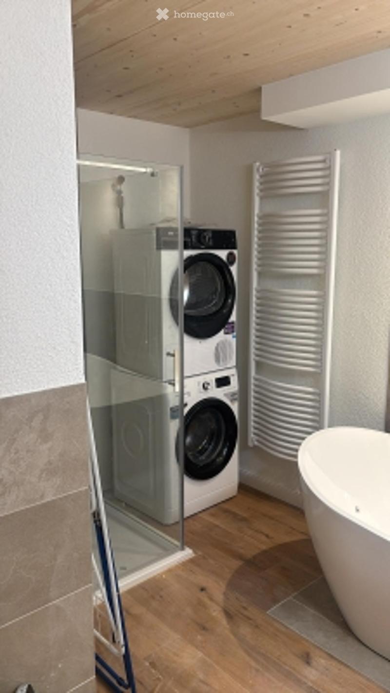 Modern bathroom with a white bathtub, a washing machine, and a glass-enclosed shower area.