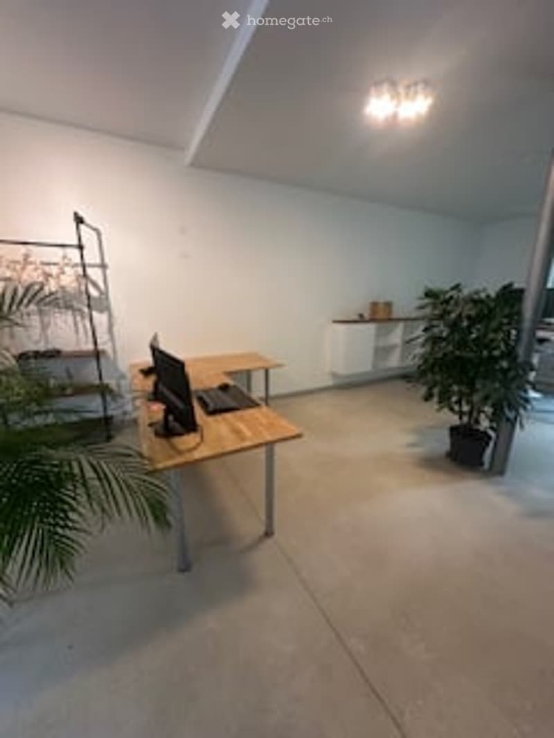 Desk, computer, lamps, shelf, cabinet, potted plant, empty room.