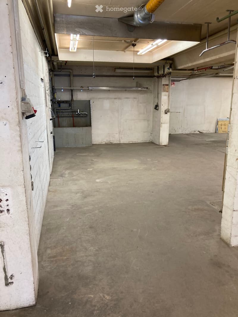 Empty basement or utility space with concrete floors and walls, exposed pipes, and minimal lighting.