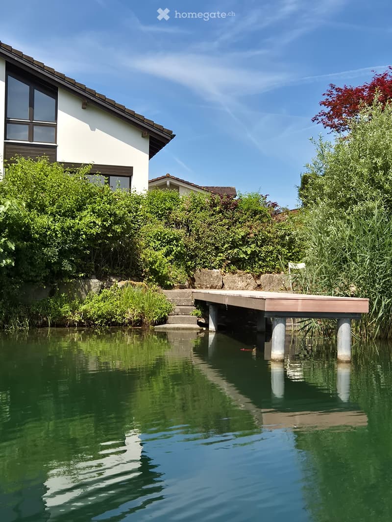 A serene garden area with a small pond, a wooden dock extending into the water, surrounded by lush greenery and a modern house in the background.