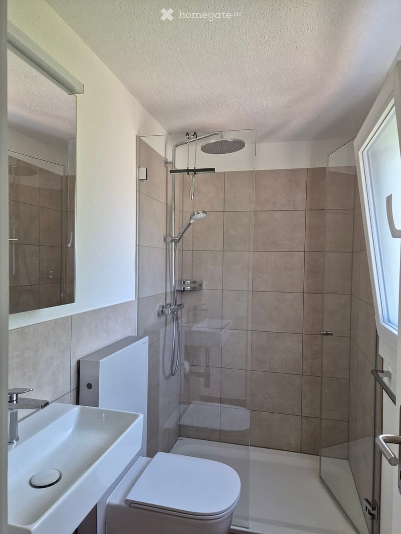 Modern bathroom with a white sink, chrome faucet, toilet, glass-enclosed shower with a handheld showerhead, and a large mirror.