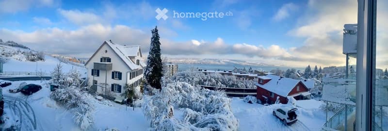 Snow-covered residential area with houses, trees, and a view of a body of water in the background.