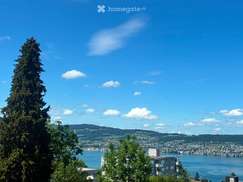 A scenic view of a cityscape across a lake, with trees in the foreground and distant hills under a clear blue sky.