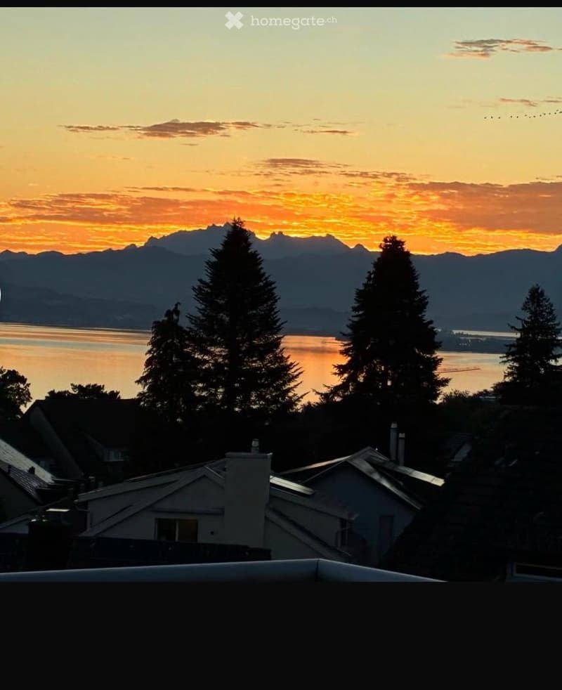 View of a sunset over a body of water with mountains in the background, surrounded by trees and rooftops of houses.