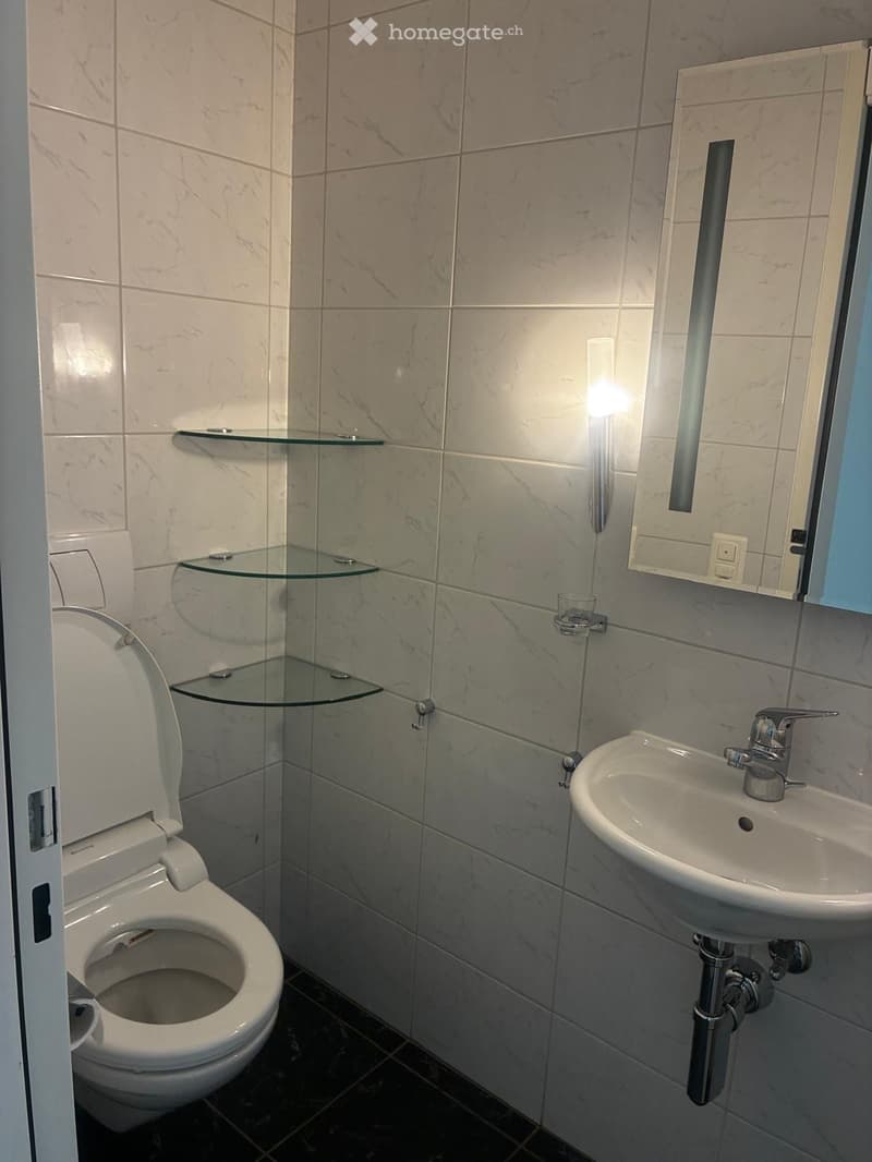 Modern bathroom with marble tiles, a toilet, a sink with a modern faucet, a mirror, and a glass shelf.