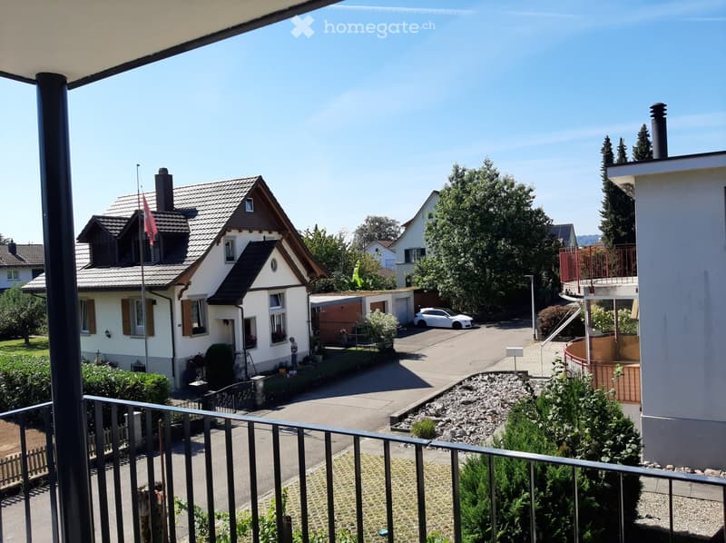 Aerial view of a neighborhood with a house, parked car, greenery, and a flag on a pole