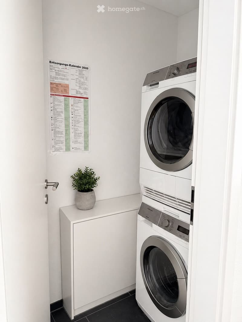 A small, modern utility room with a stacked washing machine and dryer, a white cabinet, and a small potted plant on top.
