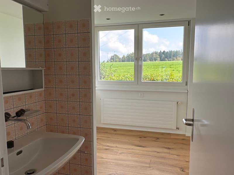 small bathroom with sink, large window overlooking a field