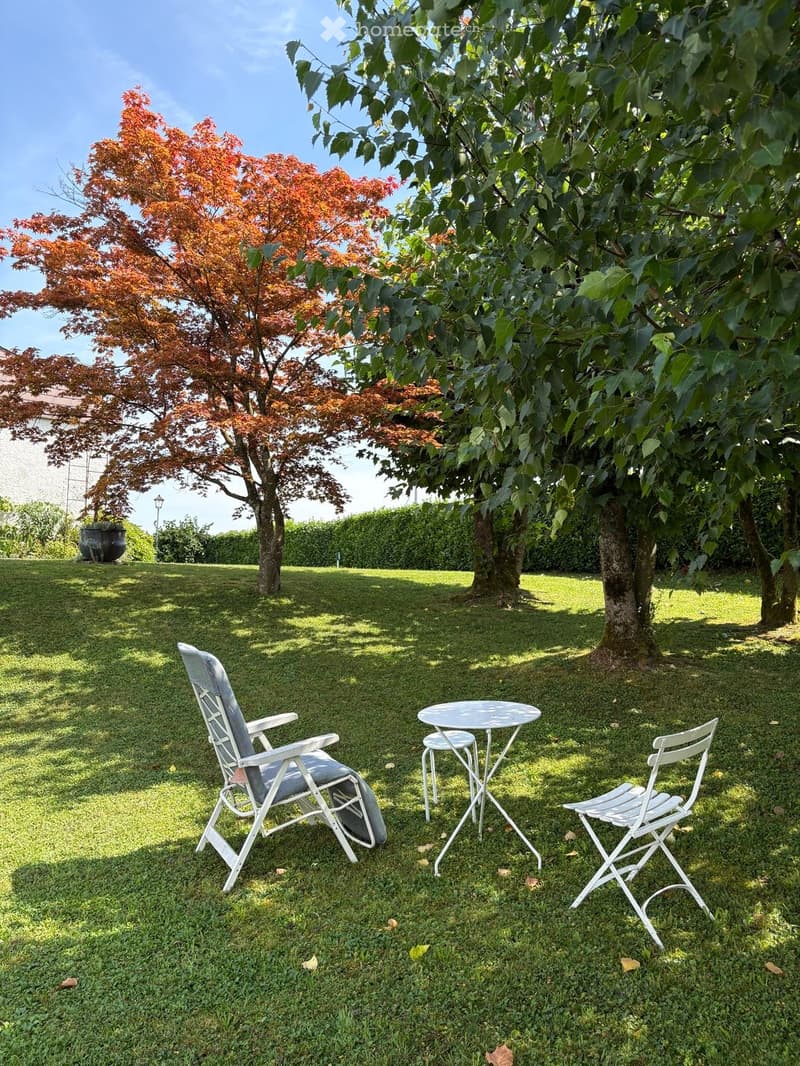 lawn, lounge chairs, table, mature trees, hedges, clear sky