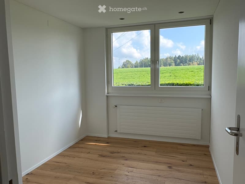 empty room, white walls, wooden floor, large window, white radiator
