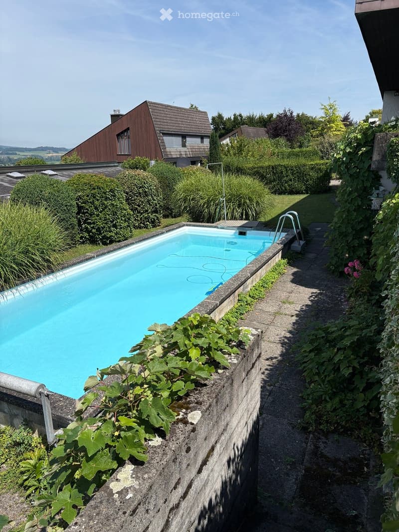 Outdoor swimming pool, surrounded by shrubs, wooden fence, grass lawn, stone path, green leaves, sunny day, blue sky.