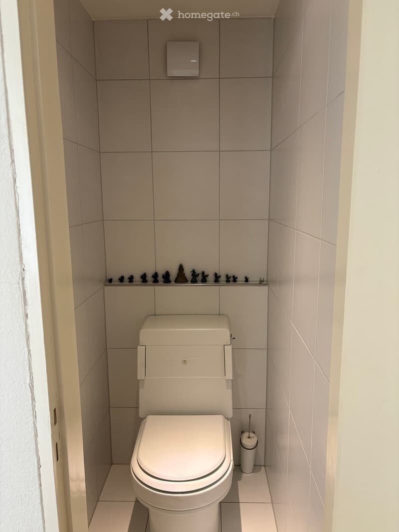 white tiled walls, white toilet, white porcelain floor, toilet paper holder, small window