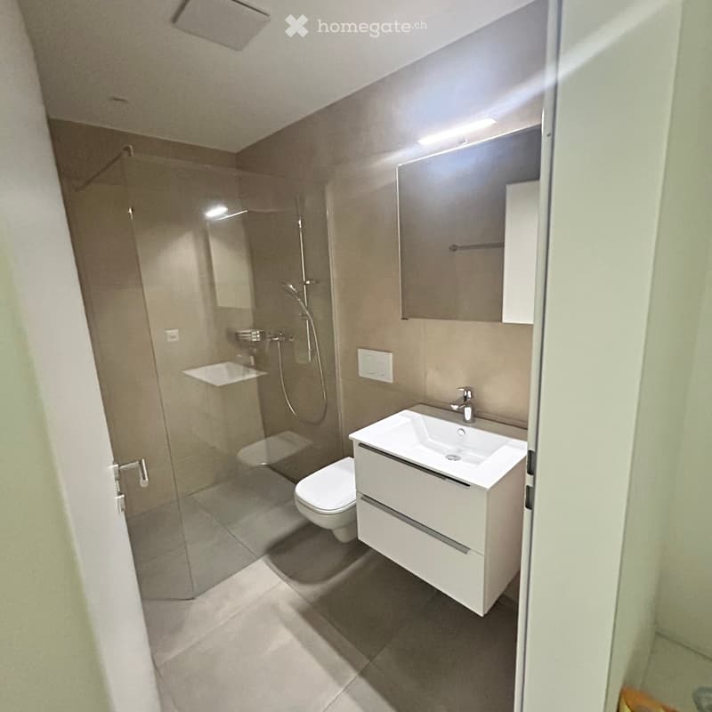 Modern bathroom with a white sink, toilet, shower, and built-in cabinet. Features a sleek design with neutral tones and clean lines.