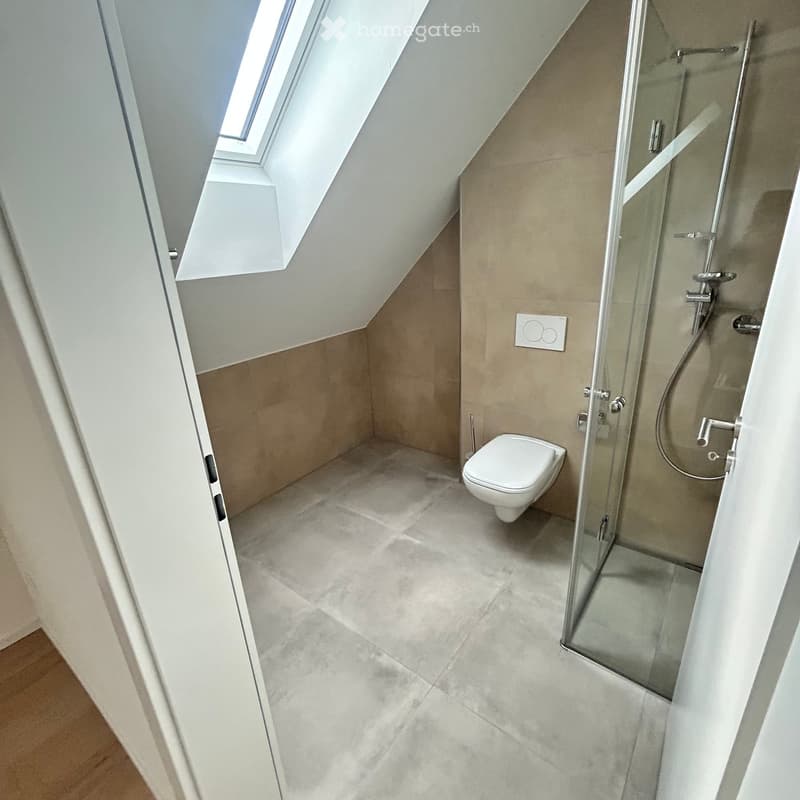 Modern, compact bathroom with a toilet, glass-enclosed shower, and skylight window. Light-colored tiles and sleek fixtures.