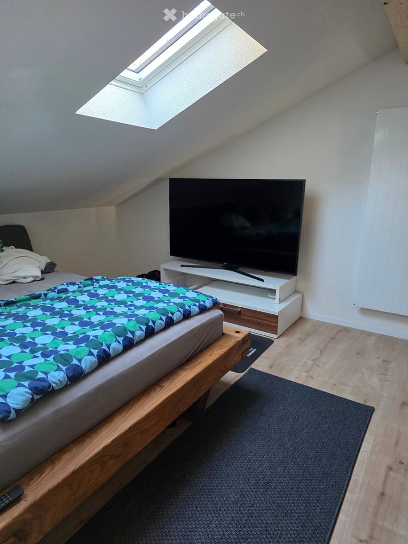Cozy attic bedroom with a bed, television on a stand, and a skylight window above.