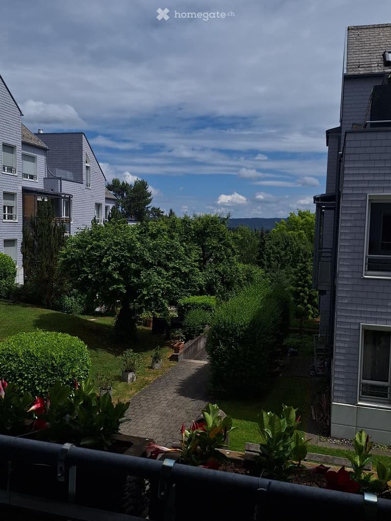 A well-maintained garden with a paved pathway, various shrubs, trees, and potted plants, surrounded by residential buildings.