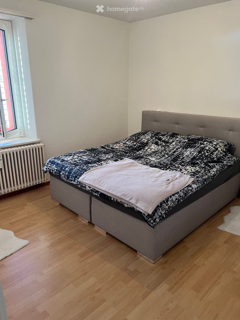 4-Zi. Wohnung in Neuhausen am Rheinfall (5)