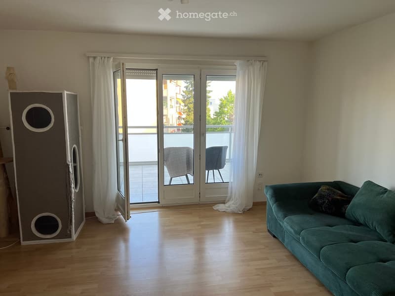 4-Zi. Wohnung in Neuhausen am Rheinfall (4)