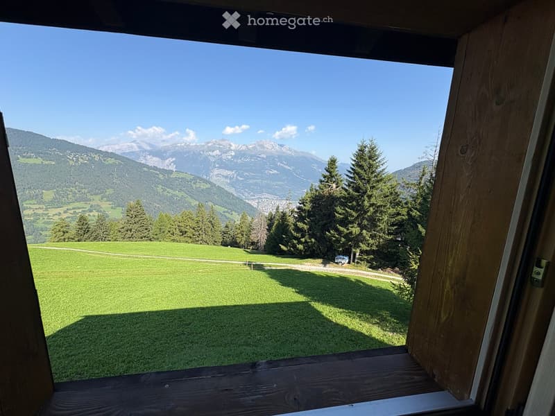 A wooden balcony overlooking a green meadow with trees and distant mountains under a clear blue sky.