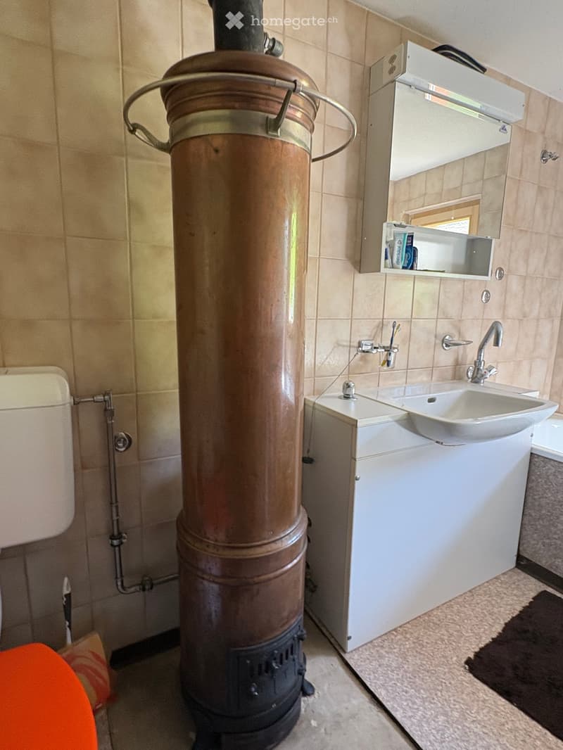 Bathroom with a toilet, sink, mirror, and cabinet. A large metal stove is positioned in the center.