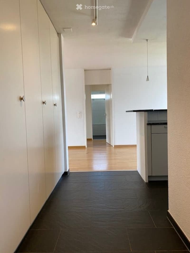 Clean, modern hallway with white walls, dark tiled floor, and light wooden flooring in the adjacent area. Features built-in white cabinetry on one side and a small open area leading to another room.