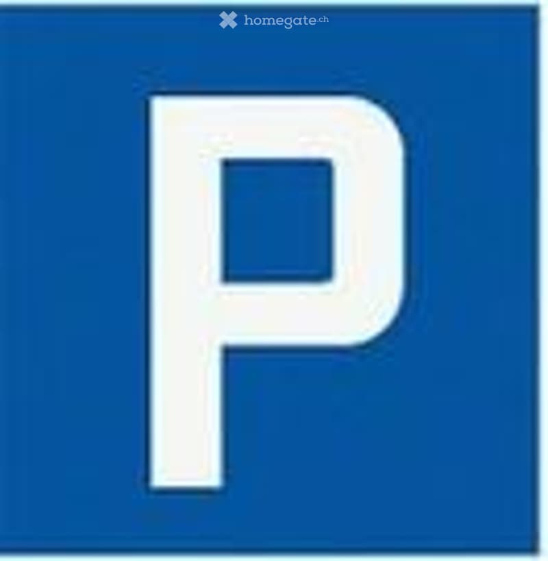 A simple blue square with a white letter "P" in the center, indicating a parking area.