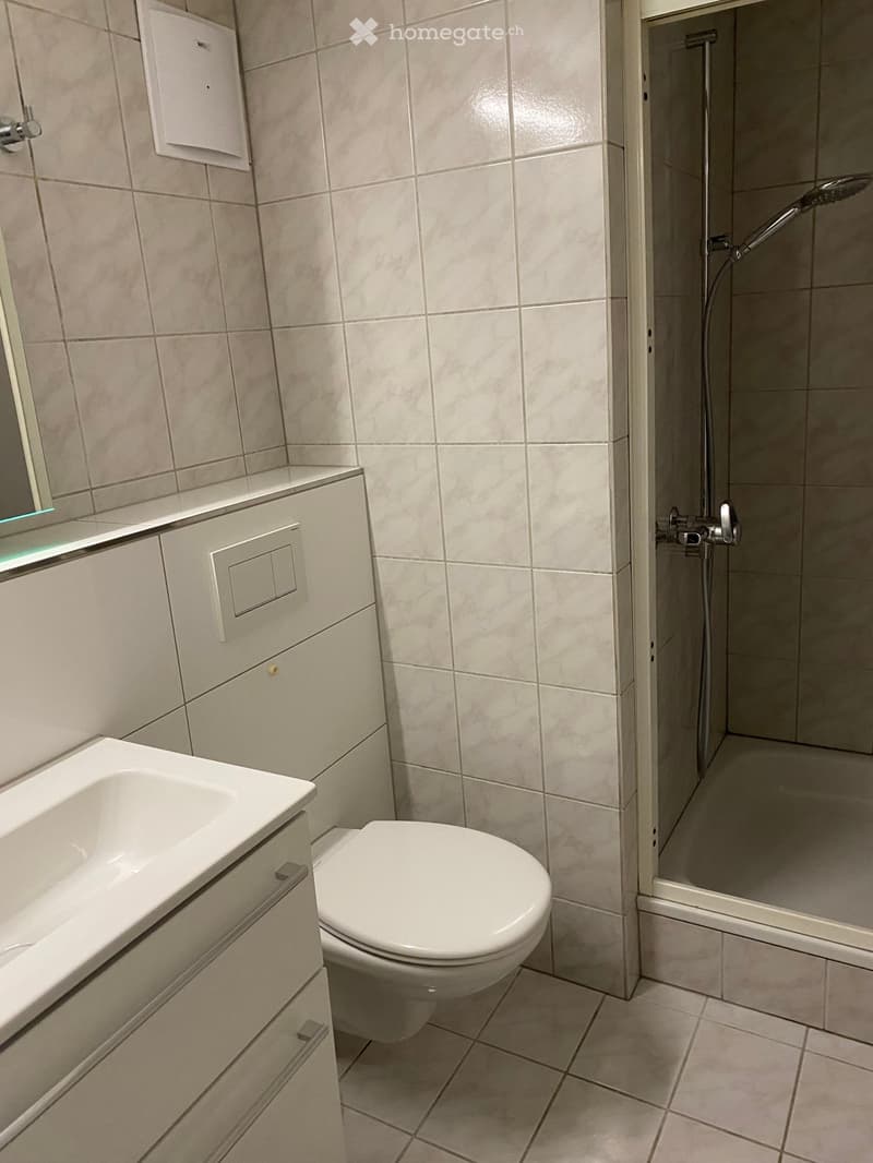 Modern bathroom with a toilet, sink, mirror, and a shower area with a handheld showerhead.