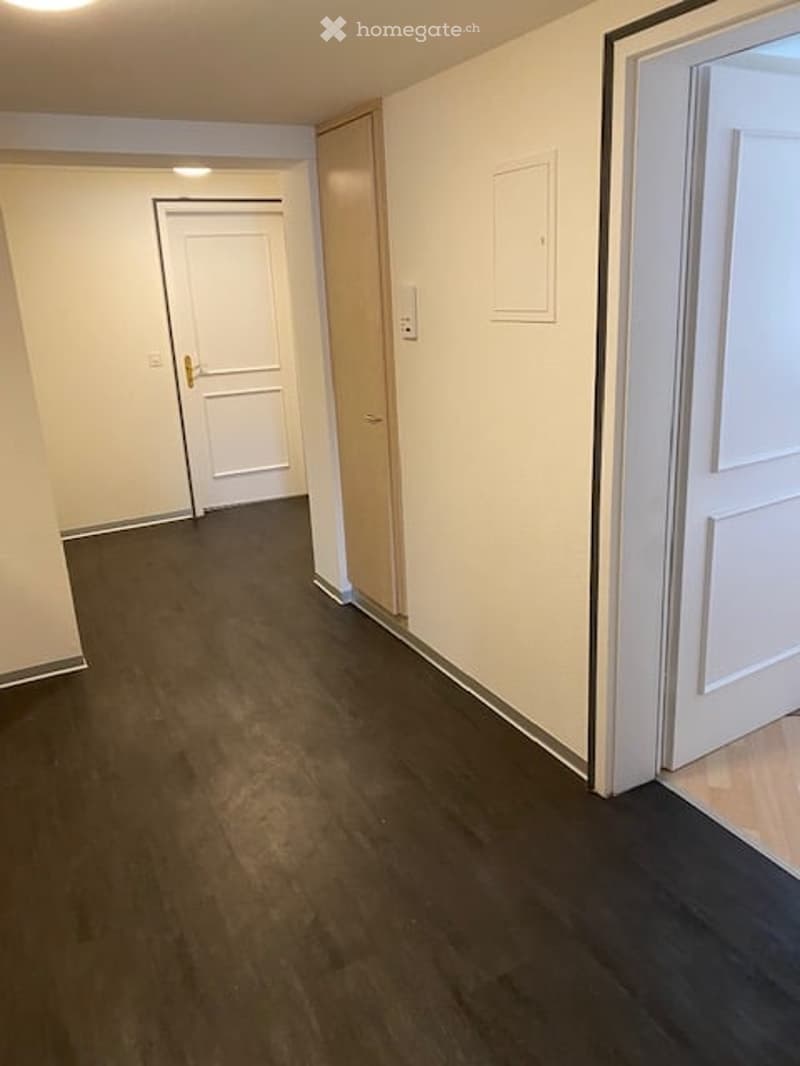 Empty hallway with dark wooden flooring, white walls, and closed doors on both sides.