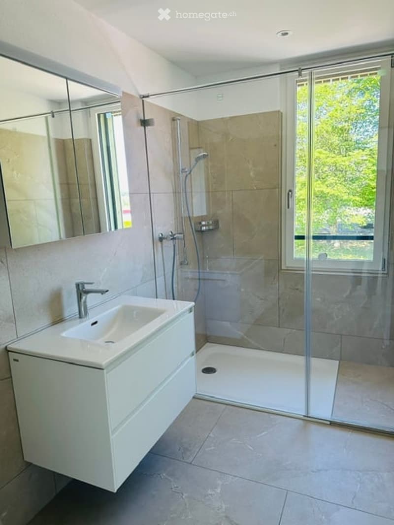Modern bathroom with a white sink, large mirror, and a glass-enclosed shower area.