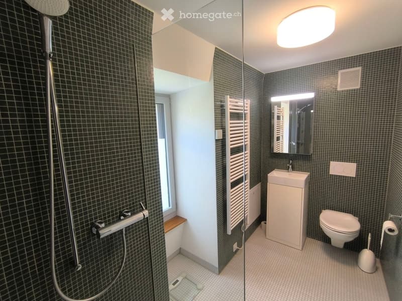 Modern bathroom with dark tiled walls, a glass-enclosed shower, a white sink, and a toilet. Features include a towel rack, a mirror, and a ceiling light.