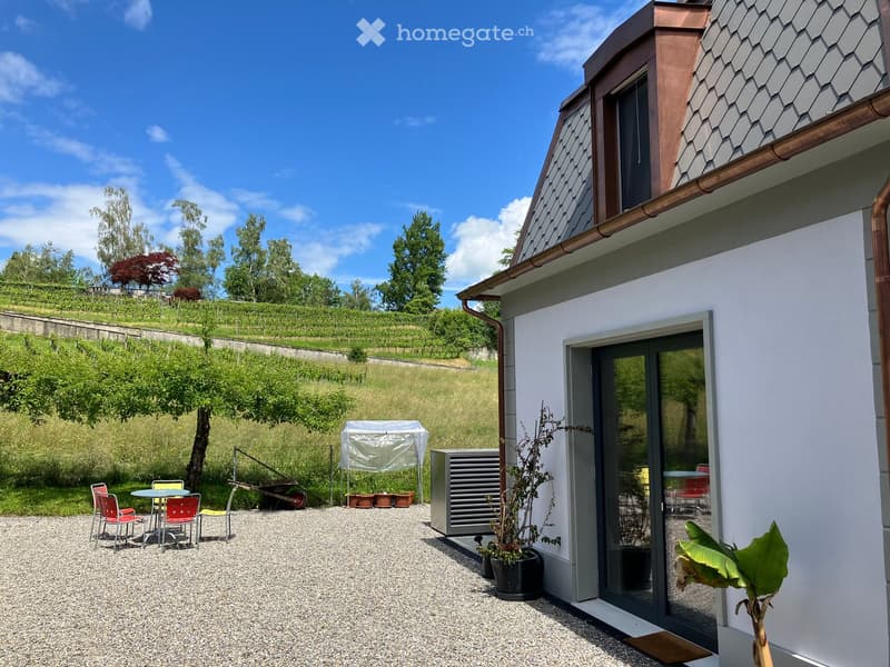 Outdoor patio area with a table and chairs, a wheelbarrow, potted plants, and a covered structure in the background, surrounded by greenery and a modern house.