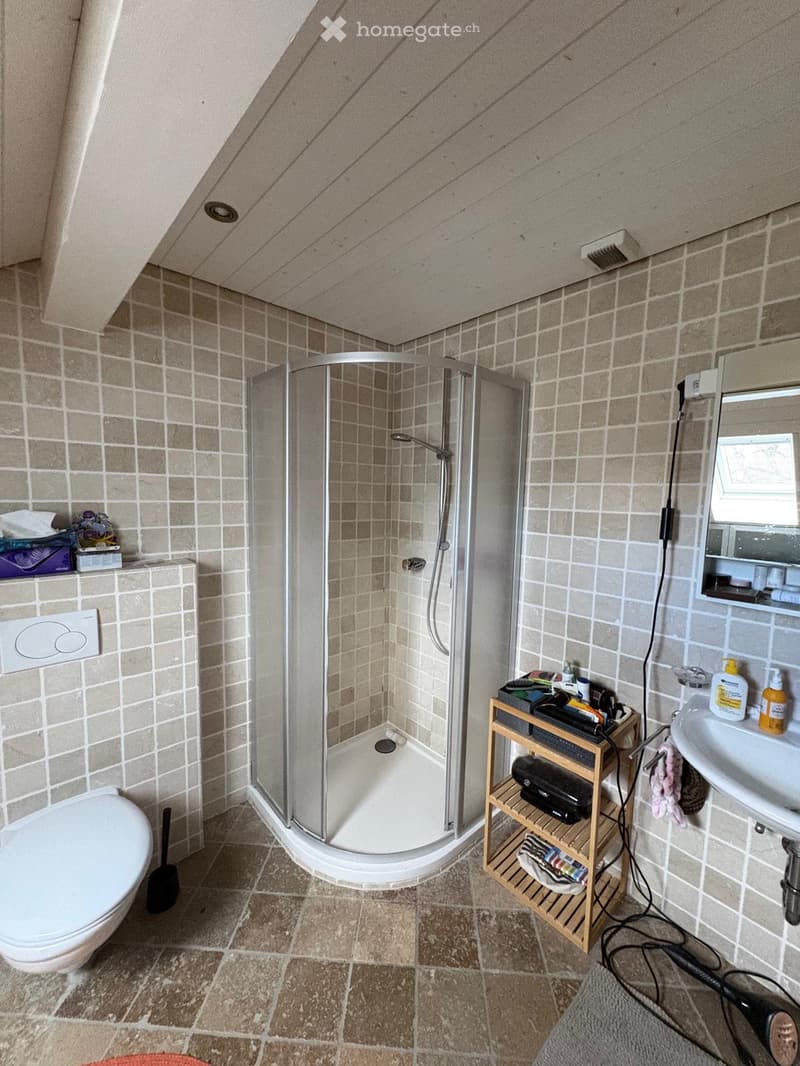 Bathroom with a corner shower, toilet, sink, and wooden shelf holding toiletries and a hair dryer. Beige tiled walls and floor.