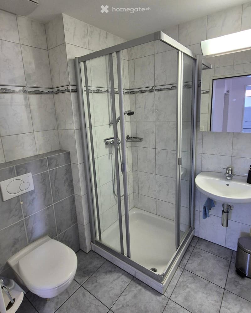 Modern bathroom with a glass-enclosed shower, toilet, sink, and mirror. The walls are tiled with a decorative border, and the floor is tiled with gray tiles.
