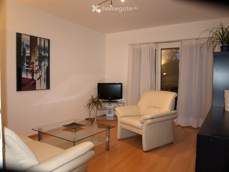 Modern living room with white leather sofa and chair, glass coffee table, TV on stand, and plants.