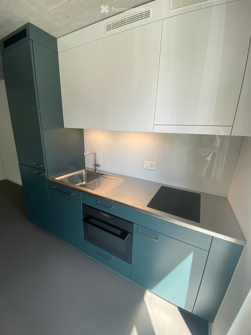 Modern kitchen with stainless steel sink, faucet, induction cooktop, and built-in oven, surrounded by white and blue cabinets.