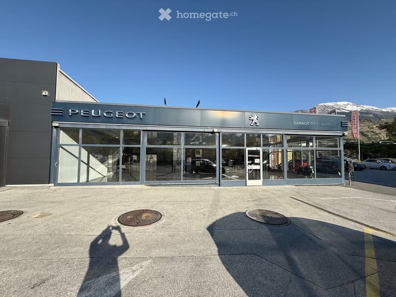 Modern Peugeot car dealership with large glass windows and a sleek, contemporary design, featuring a spacious entrance area and a clear view of the interior where cars are displayed.