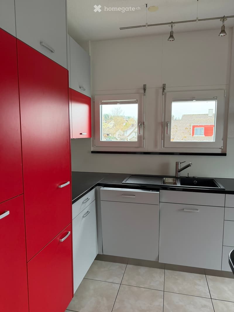 Modern kitchen with red and white cabinets, a stainless steel sink, and a dishwasher. The space features large windows offering a view of the neighborhood.