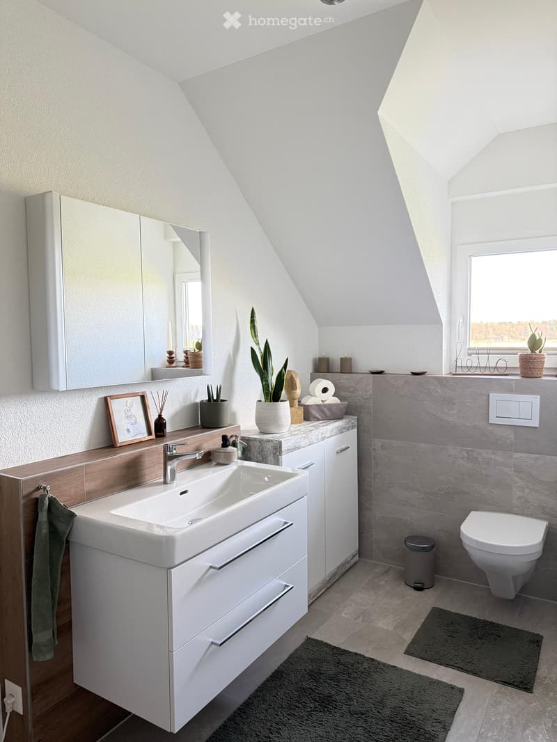 Modern bathroom with a white sink, mirror, cabinet, and toilet. Features include a potted plant, picture frame, and decorative items on the counter.