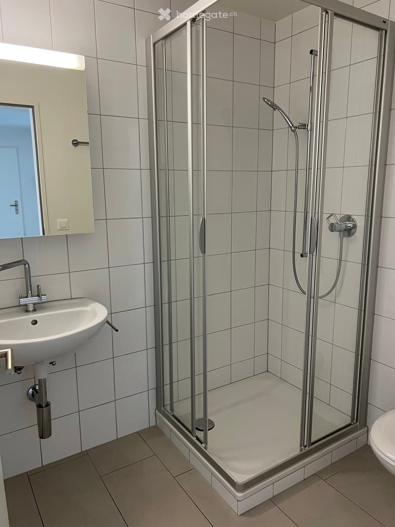 Modern bathroom with white tiled walls, a glass-enclosed shower, a sink with a mirror, and a toilet.