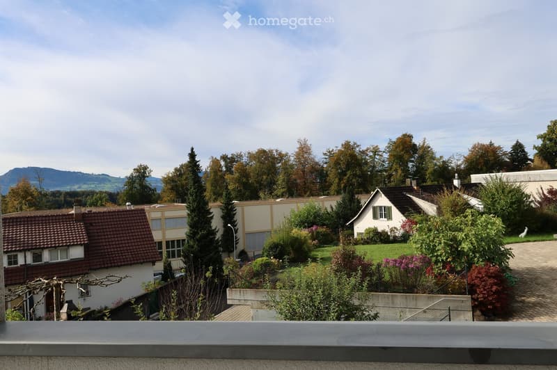 green grass, flowers, plants, houses, trees, mountain range in the distance