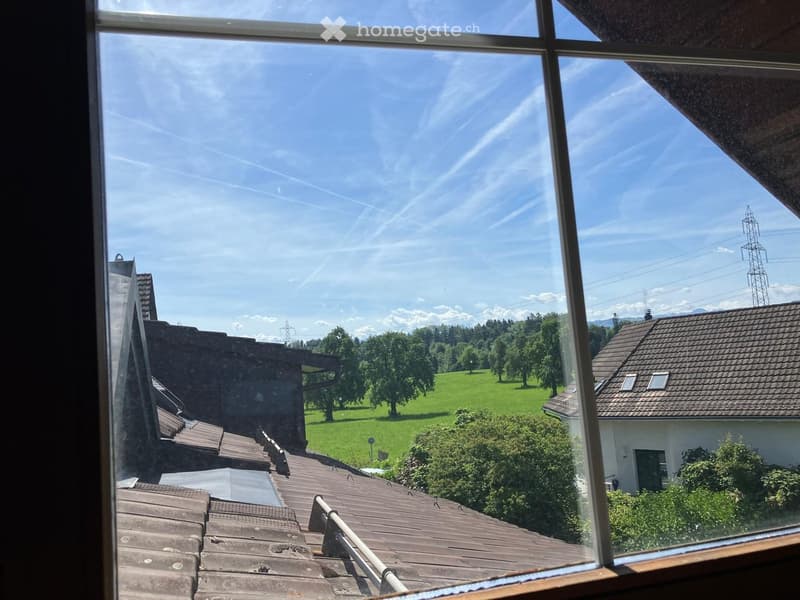View from a large window showing a roof terrace with a clear blue sky, green fields, trees, and neighboring houses.
