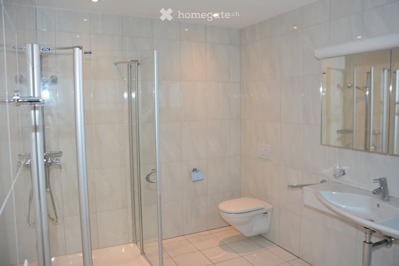 Modern bathroom with white tiles, a glass-enclosed shower, a toilet, a sink with a mirror, and a towel rack.