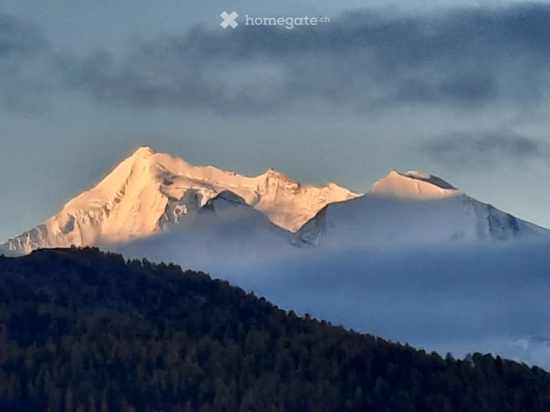 A mountain range with snow-capped peaks and a forested lower slope under a cloudy sky.