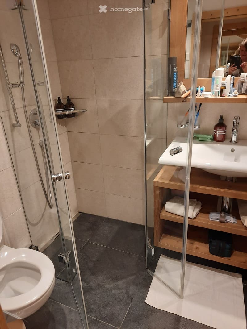 Modern bathroom with a glass-enclosed shower, toilet, sink, and wooden shelf holding towels and toiletries.