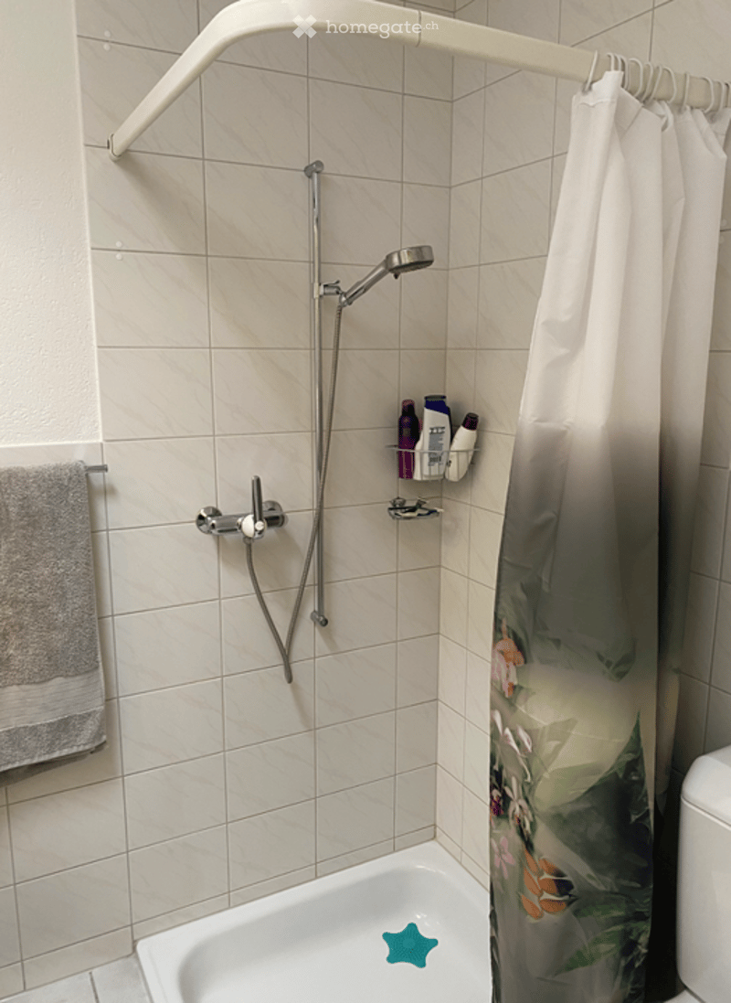 Bathroom with white tiles, shower area with shower head and hose, shower curtain, towel on rack, toilet, toilet paper holder, shampoo bottles, soap dish, toilet brush, and toilet paper.